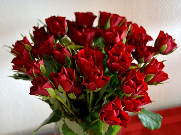 Valentine's day flowers