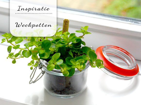 8x creatief met weckpotten