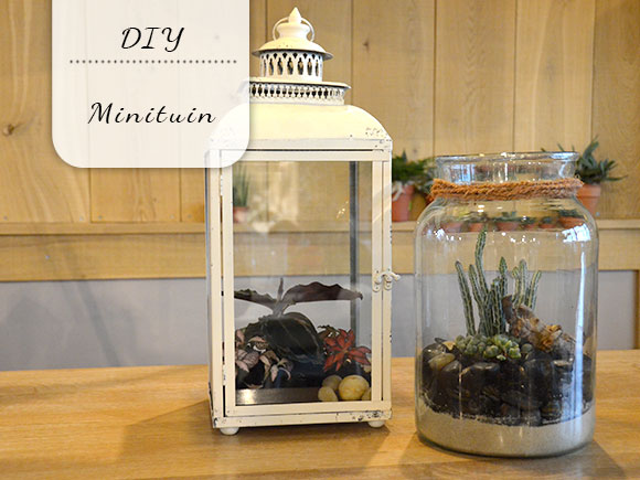 DIY: Minituintjes voor in huis