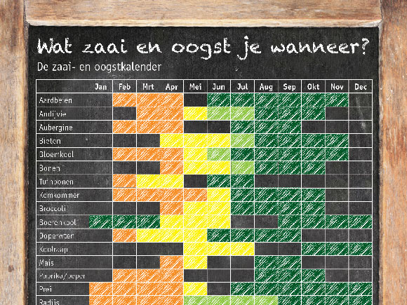 Mijn moestuin voor beginners #2: Zaaikalender