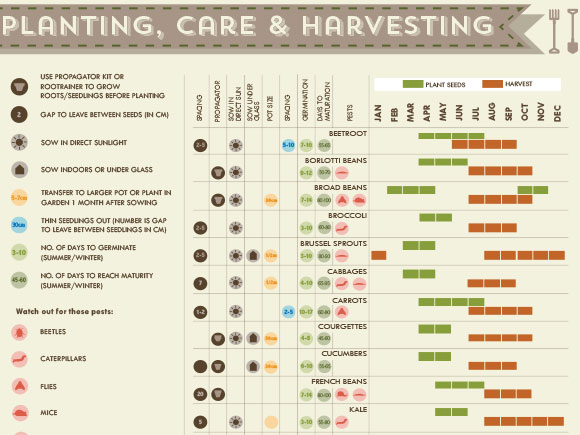 Mijn moestuin voor beginners #2: Zaaikalender