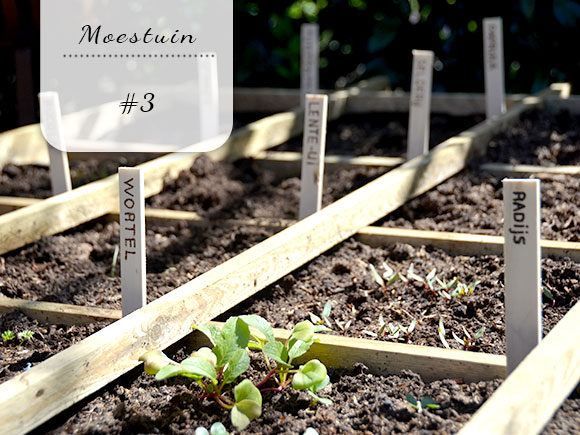 Mijn moestuin voor beginners #3: Naambordjes