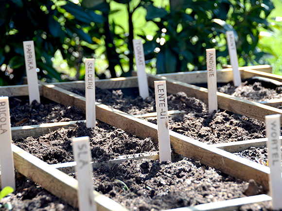 Mijn moestuin voor beginners #3: Naambordjes