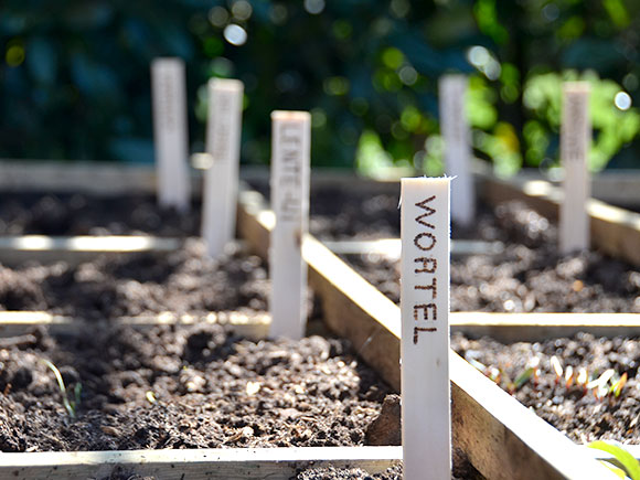 Mijn moestuin voor beginners #3: Naambordjes