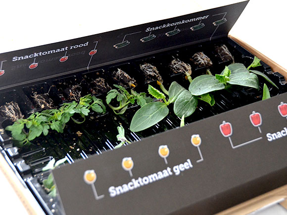 Mijn moestuin voor beginners #4: Sprout of the Box