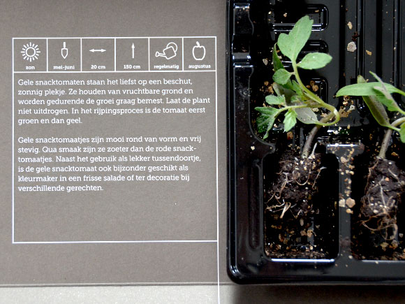 Mijn moestuin voor beginners #4: Sprout of the Box