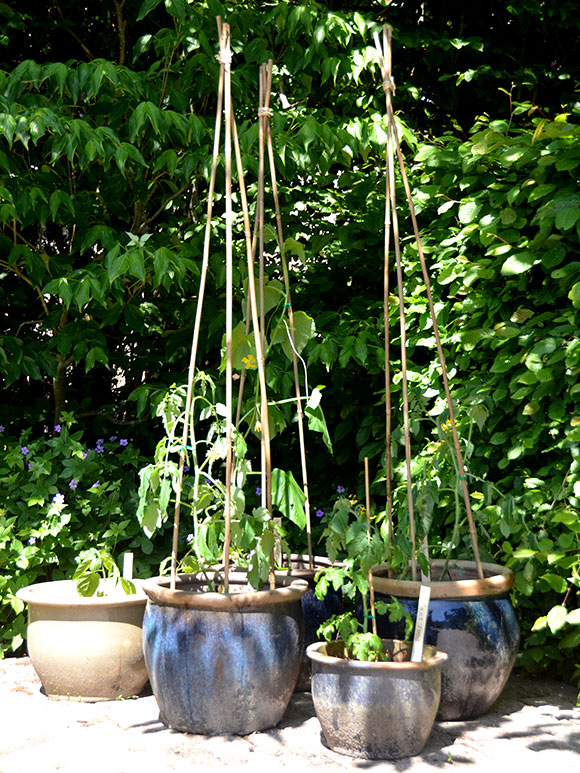 Mijn moestuin voor beginners #7: Naar buiten