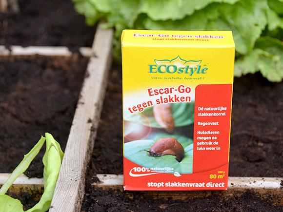 Mijn moestuin voor beginners #9: Slakken probleem