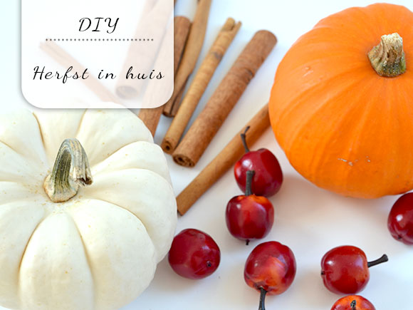 DIY: Herfst in huis