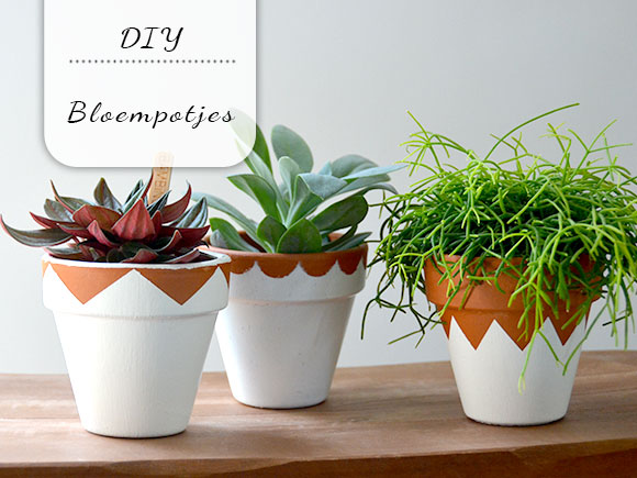 Irrigatie Haalbaar Maak plaats DIY: Leuke bloempotjes - My Simply Special