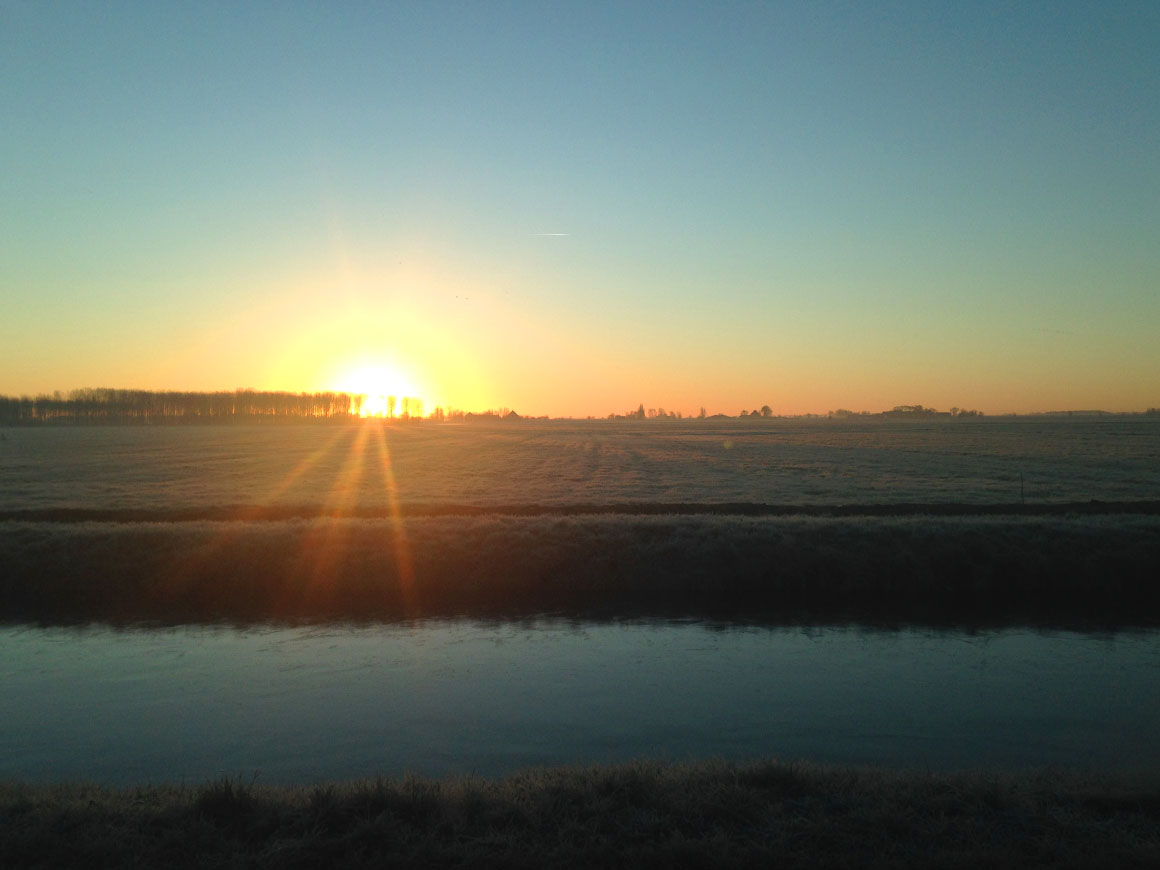 Dagboek: Druk druk