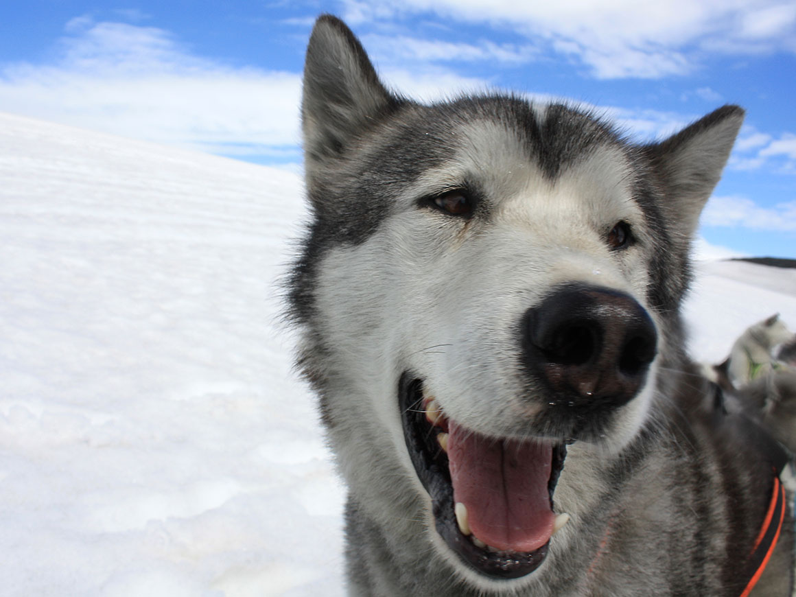 Mijn ultieme winterexperience: IJsland