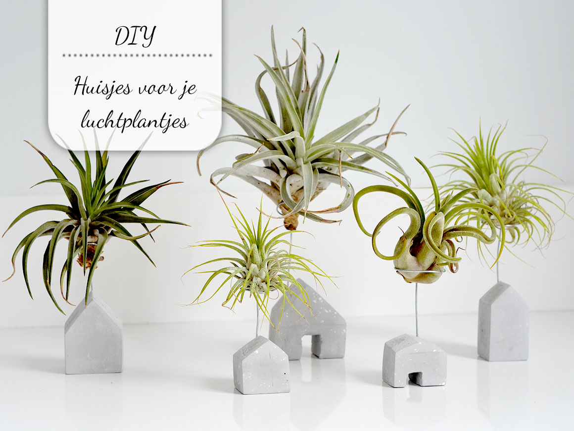 DIY: Huisjes voor je luchtplantjes