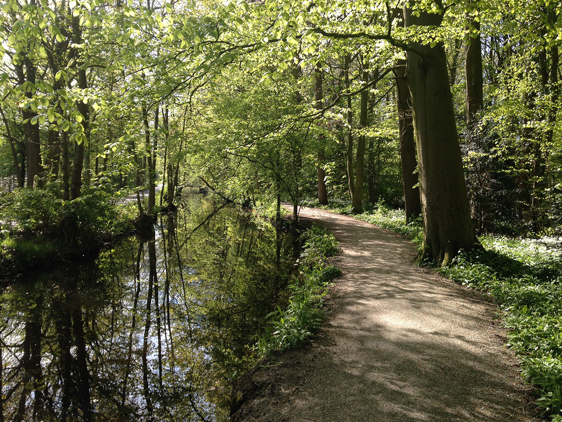 Dagboek: Zomer