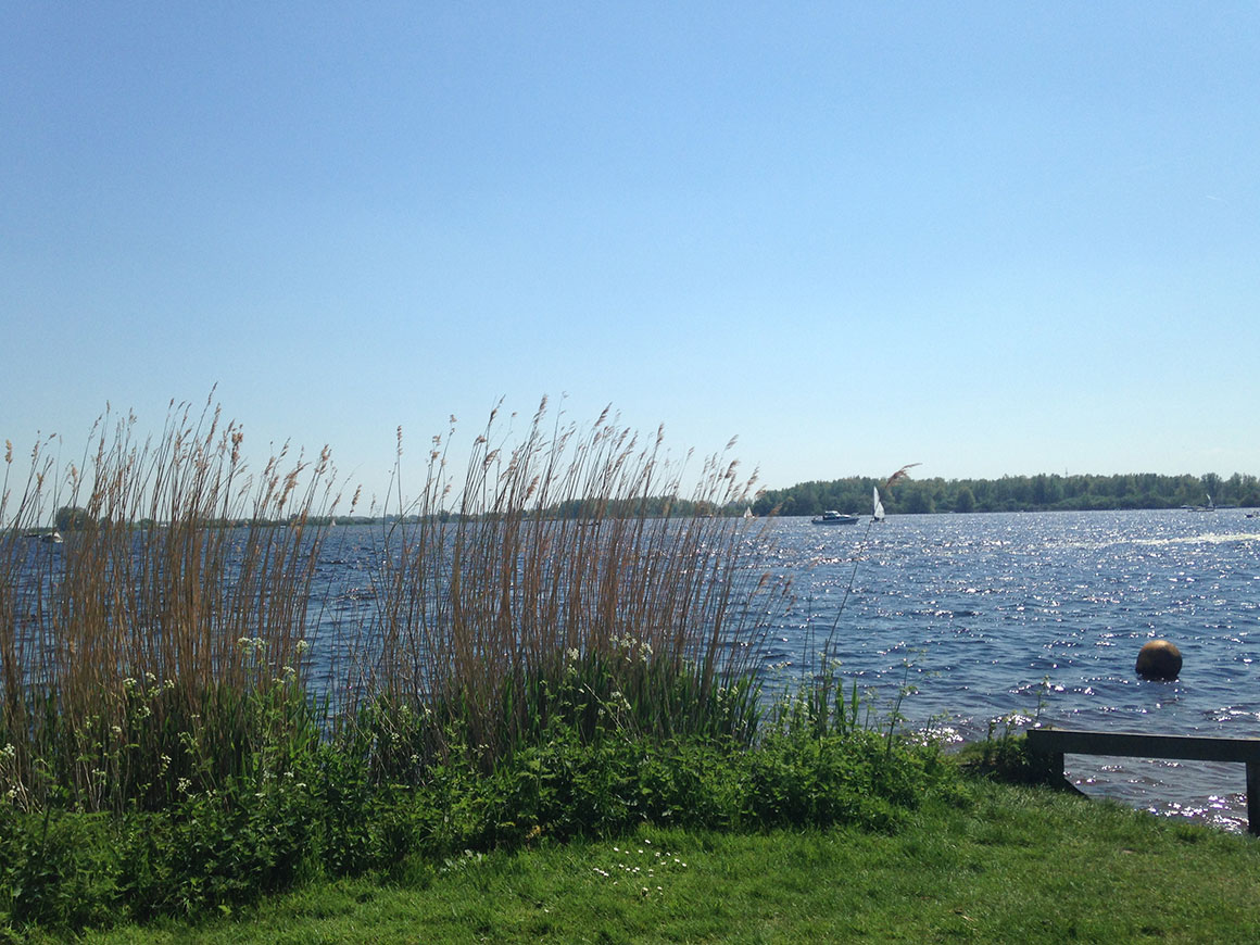 Dagboek: Zomer