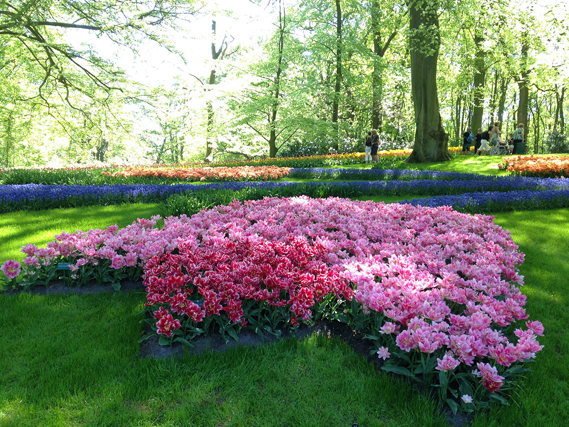 Dagboek: Keukenhof