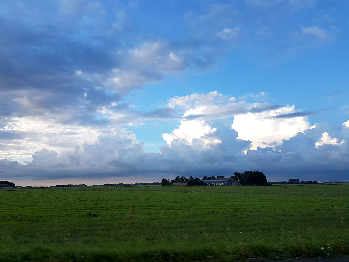 Dagboek: Hanne's bruiloft