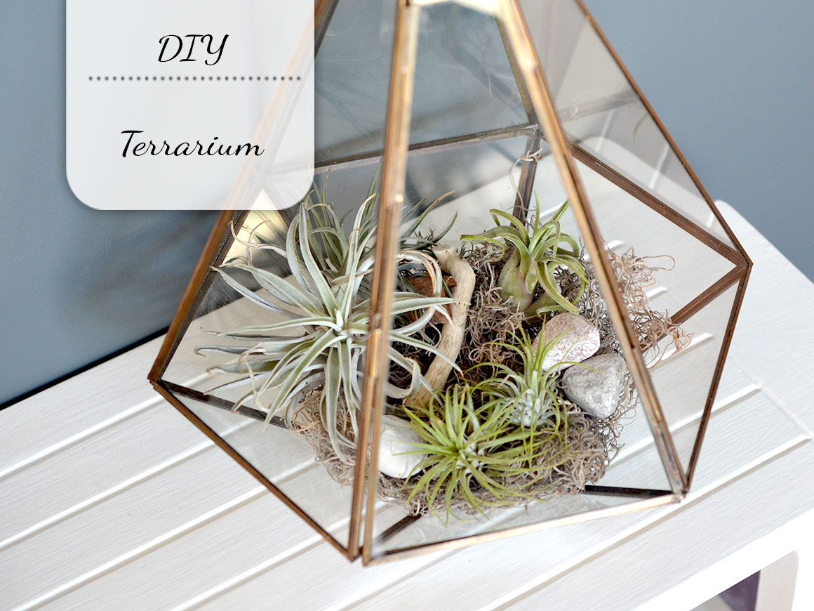DIY: Terrarium met luchtplantjes
