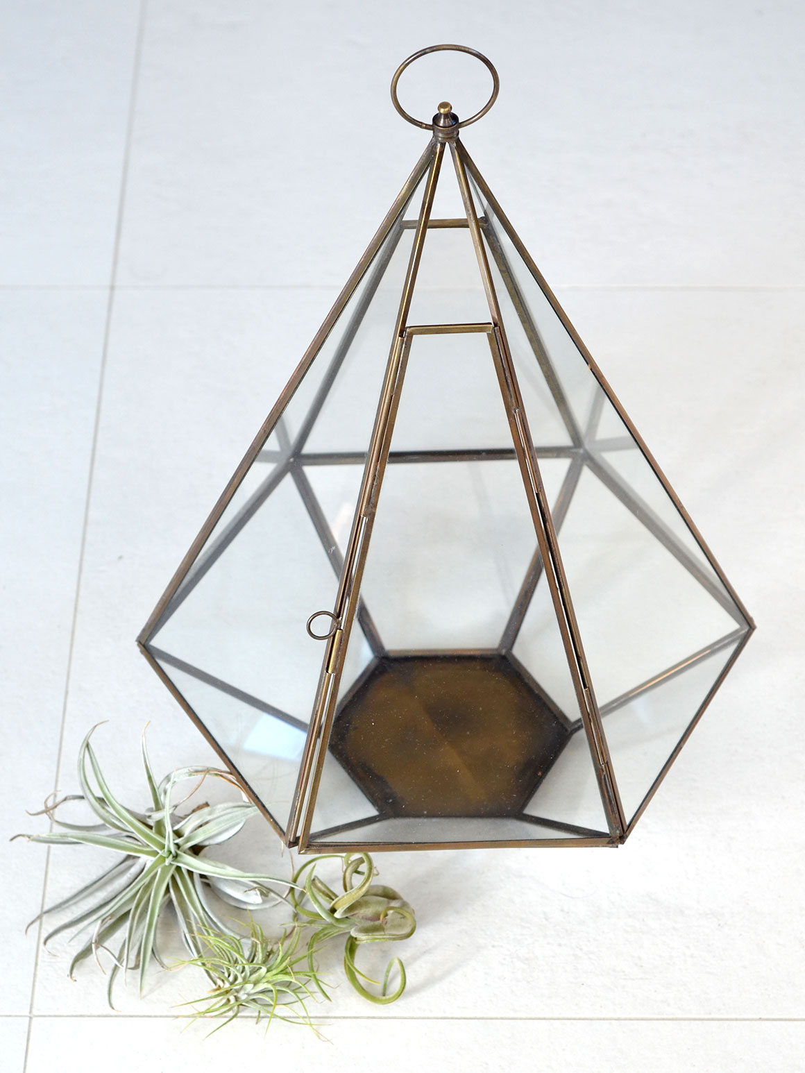 DIY: Terrarium met luchtplantjes