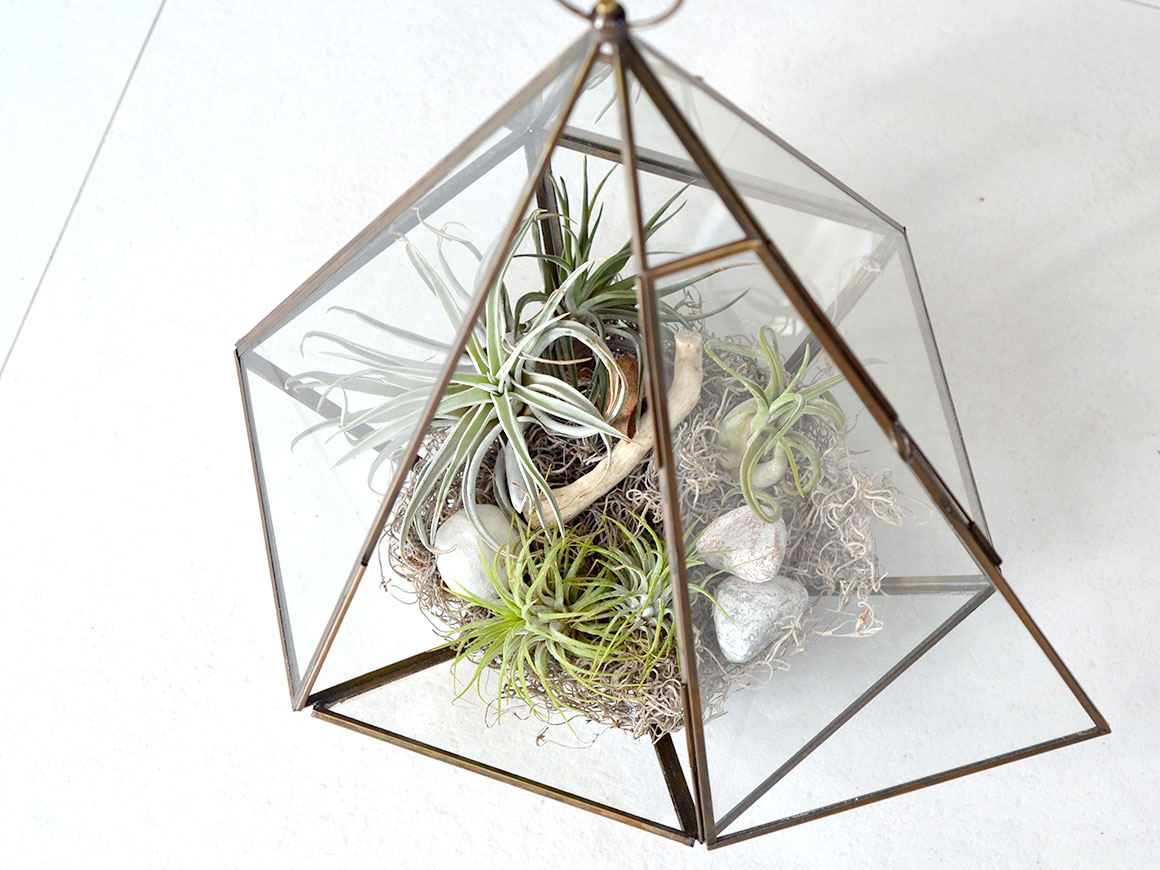 DIY: Terrarium met luchtplantjes