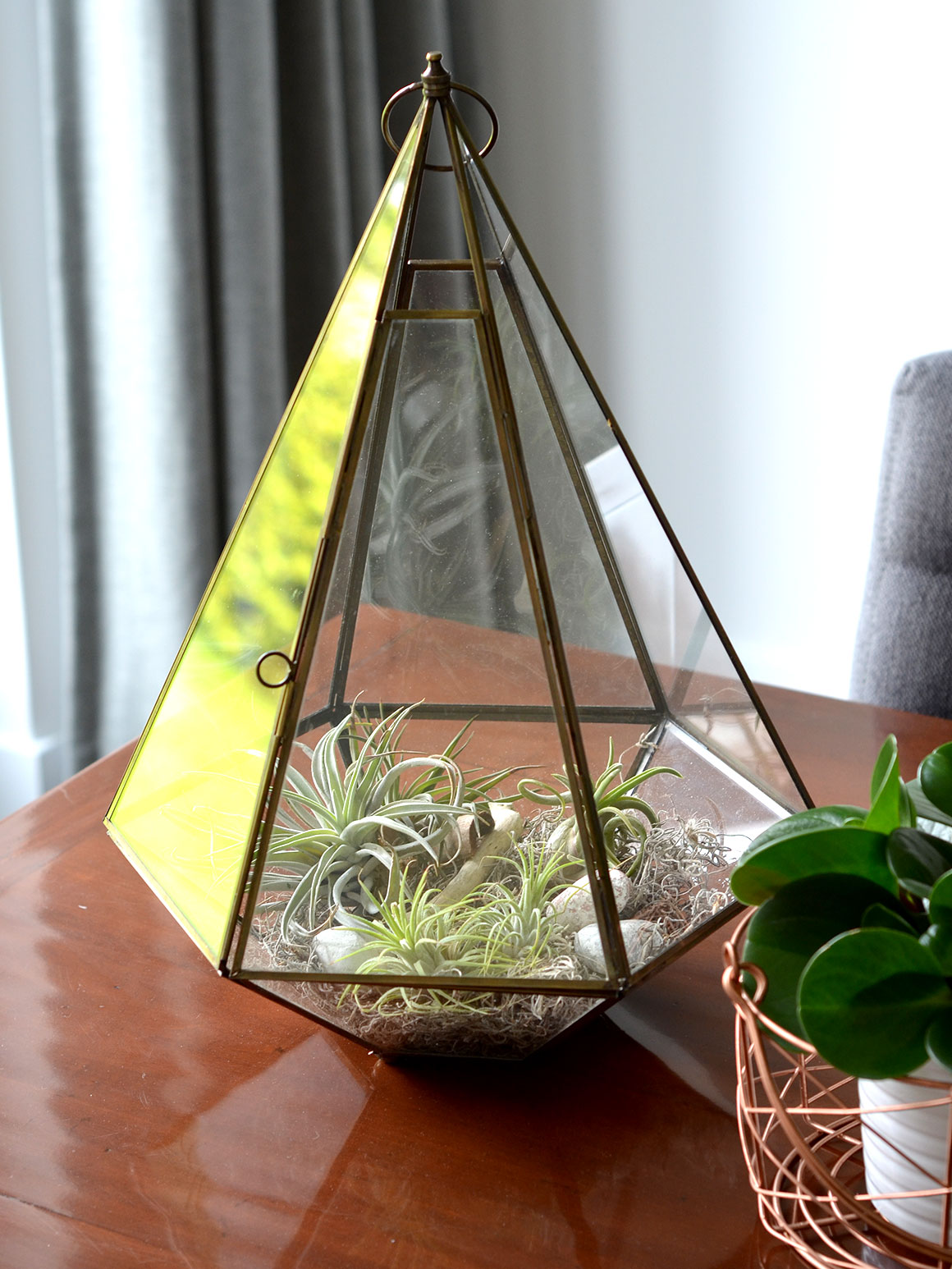 DIY: Terrarium met luchtplantjes