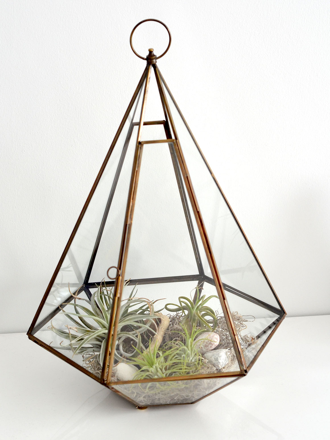 DIY: Terrarium met luchtplantjes