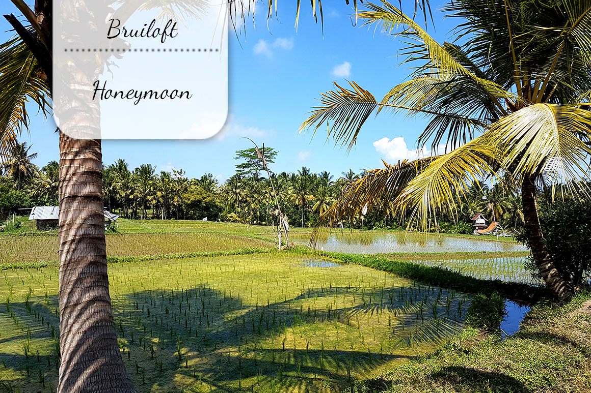 Onze bruiloft: Bali honeymoon deel 2