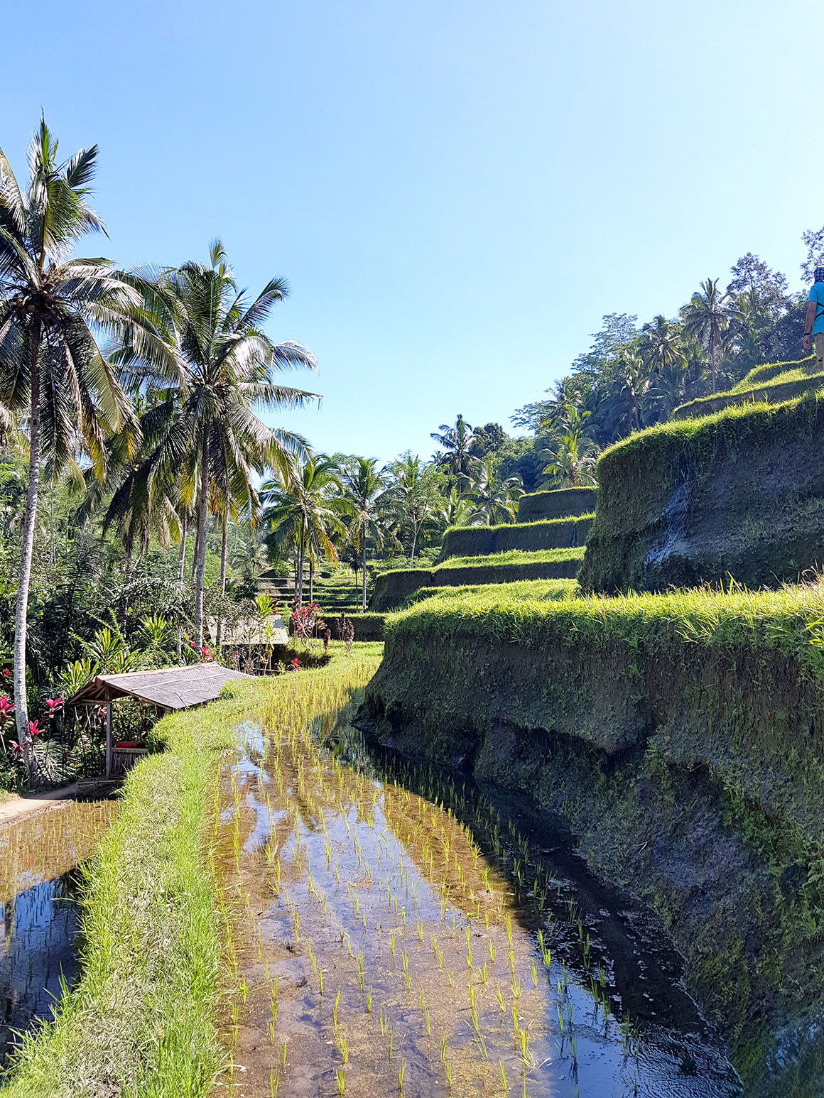 Onze bruiloft: Bali honeymoon deel 2