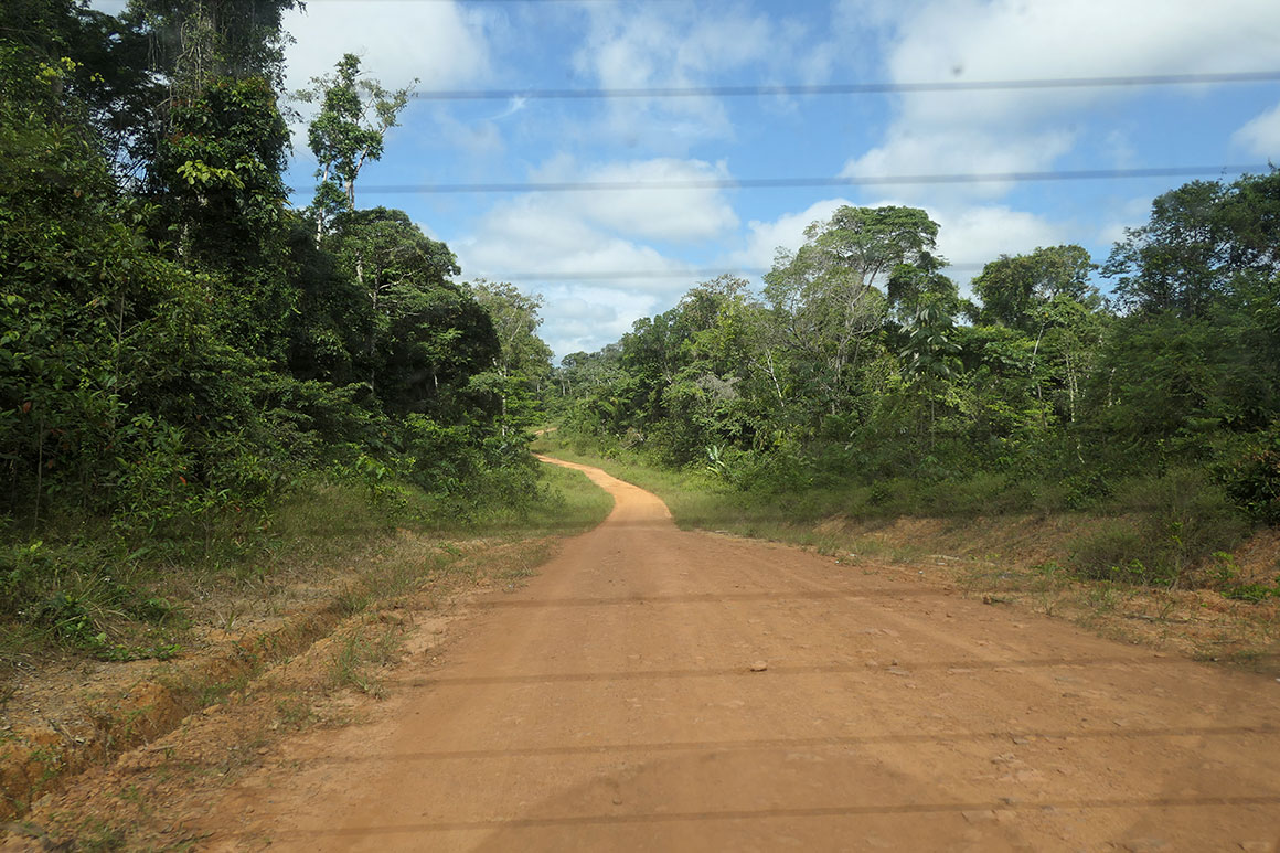 Dagboek: Suriname verkennen