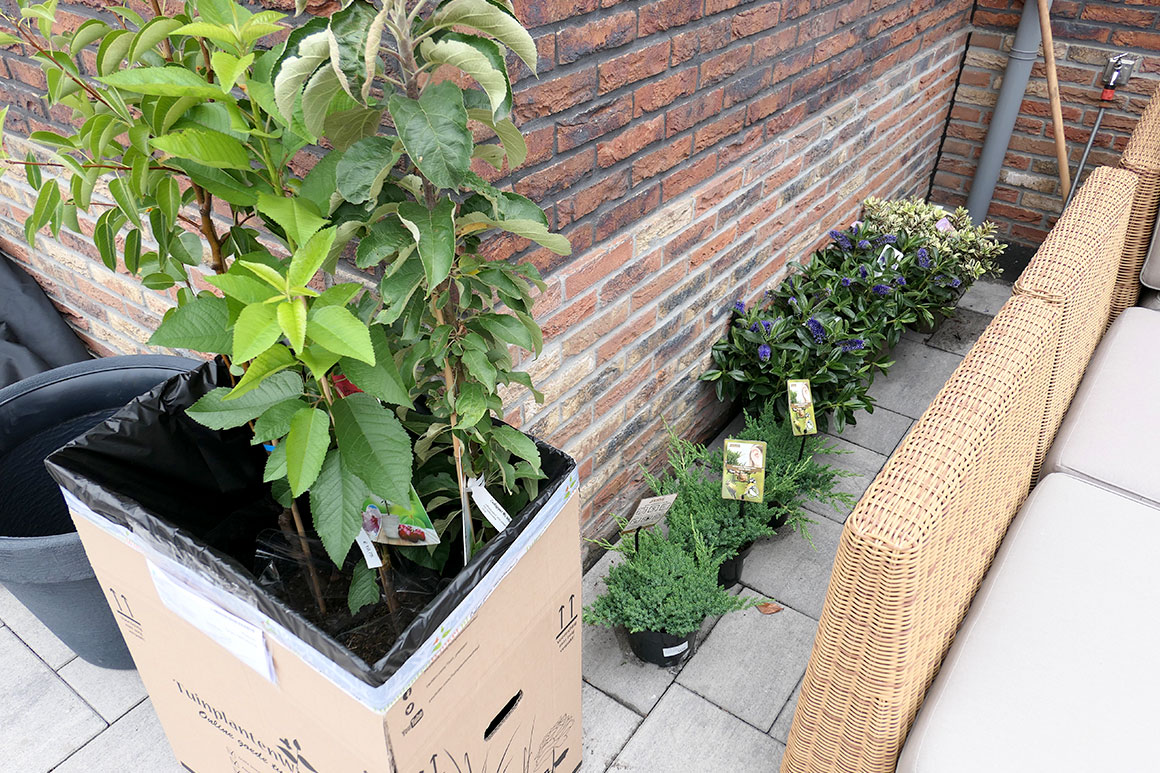 Ons nieuwe huis #14: Tuin progress