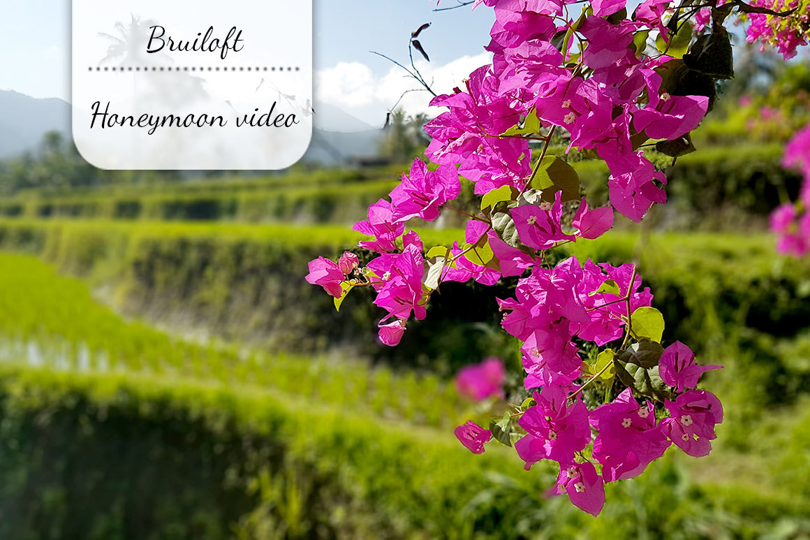 Onze bruiloft: Bali honeymoon video