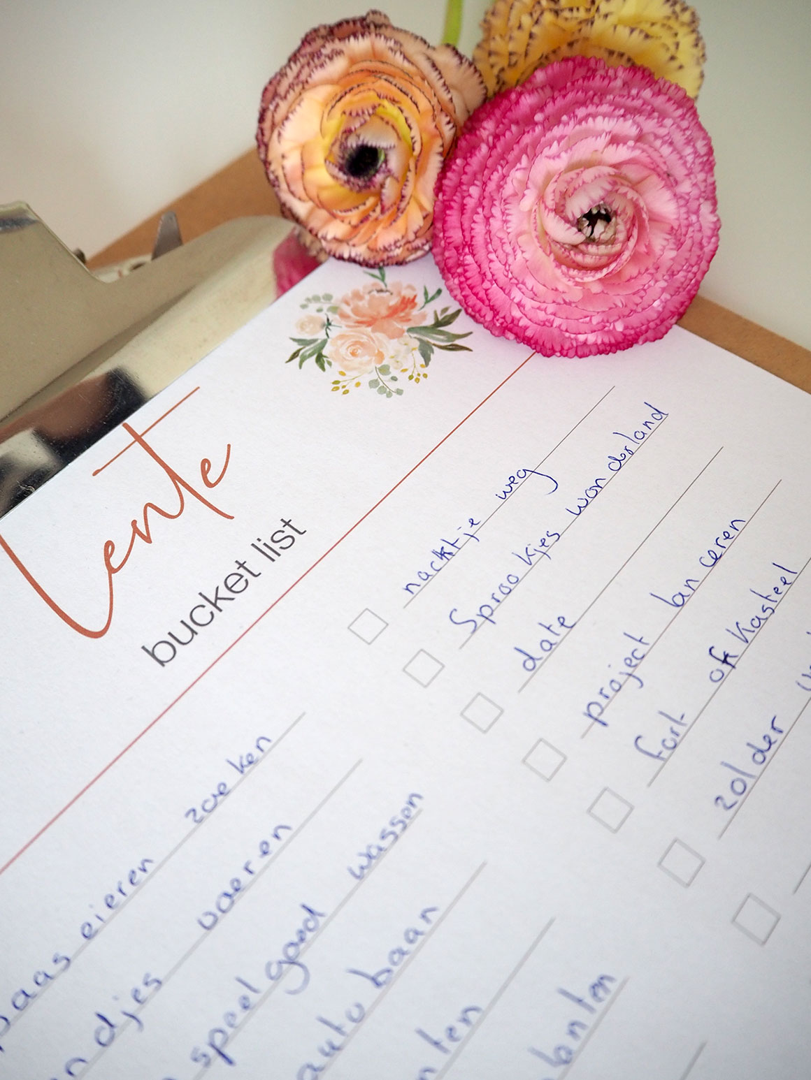 Onze lente bucket list (+ printable)