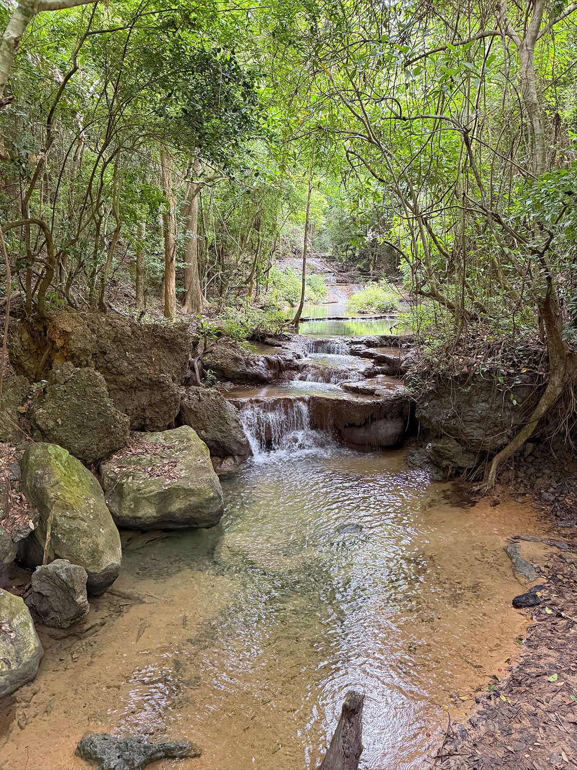 Onze vakantie naar Thailand met kinderen