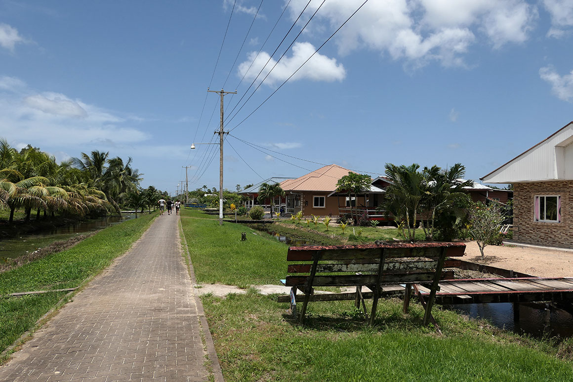 Plog: Suriname dag 20