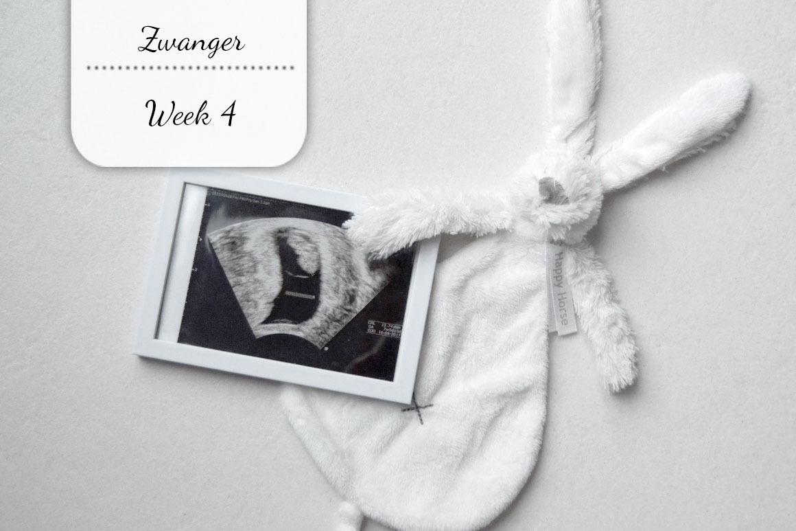 Zwangerschapsupdate #1: Week 4