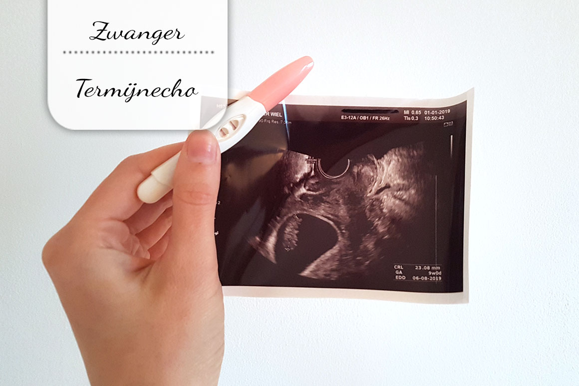 Zwangerschapsupdate #24: De termijnecho