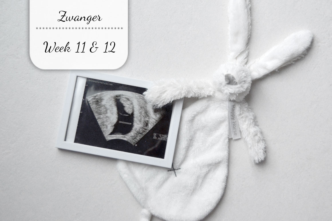 Zwangerschapsupdate #5: Week 11 & 12